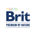 Brit