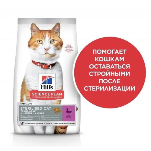 хиллс