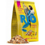 Rio (13)